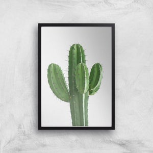 Cactus Giclee Art Print