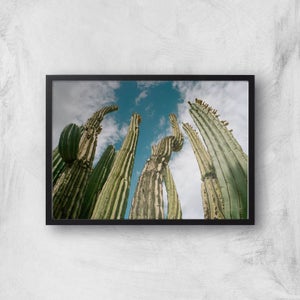 Tall Cactus Giclee Art Print