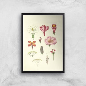 Researching Flowers Giclee Art Print