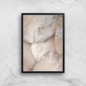 Shells Giclee Art Print