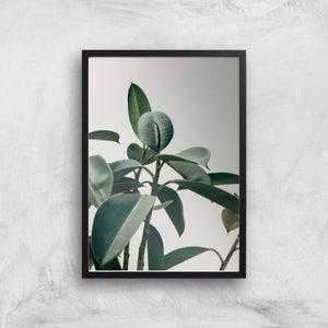 Thick Leaves Giclee Art Print