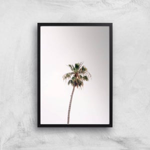 Lonely Palm Tree Giclee Art Print