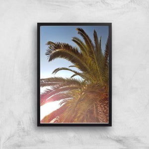 Palm Leaves Sun Glare Giclee Art Print