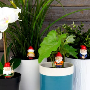 Naughty Gnomes - Mini Plant Pot Planters