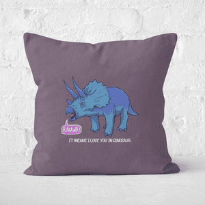 Rawr It Means I Love You In Dinosaur Square Cushion