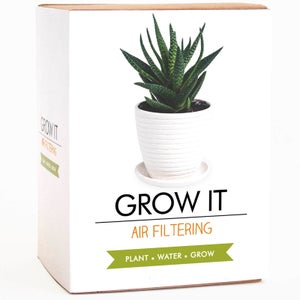 Grow It - Air Filtering Plant