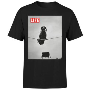 LIFE Magazine Dachshund On A Wire Men's T-Shirt - Black