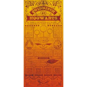 Impresión artística premium de edición limitada de Harry Potter : Reglas de Quidditch
