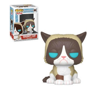 Icônes Grumpy Cat Pop ! Figurine en Vinyle