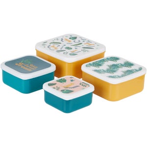 Mimo Winter Palm Lunch Box Set - Stackable