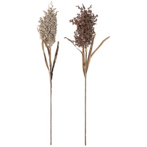Bloomingville Faux Dried Flower - Set of 2 - Assiba