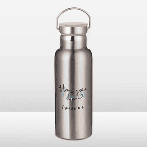 Friends How You Doin Portable Insulated Water Bottle - Steel