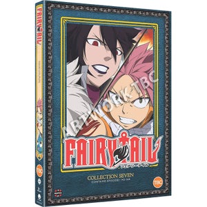 Fairy Tail Collection 7 (Épisodes 143-164)