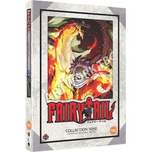 Fairy Tail : Collection 9 (Épisodes 188-212)