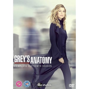 Grey's Anatomy - Saison 16
