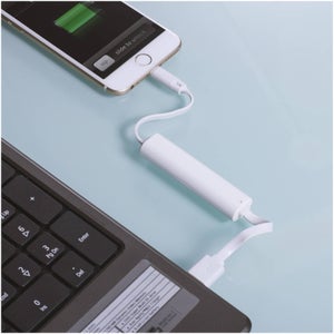 Swipe USB Charger Cable with Power Bank for iPhone