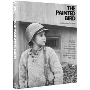 The Painted Bird (US Import)