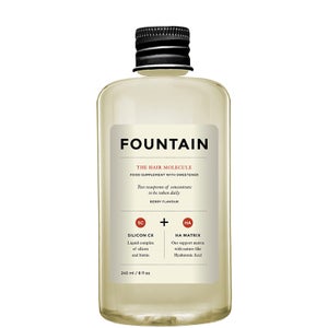 FOUNTAIN The Hair Molecule (240ml)