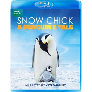 Poussin des neiges : L'histoire d'un pingouin