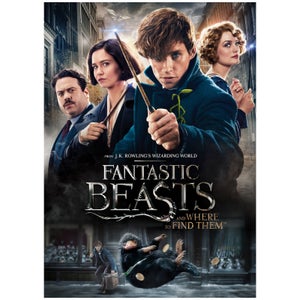 Fantastic Beasts and Where To Find Them