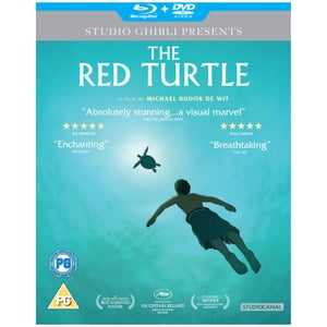 The Red Turtle - Doubleplay