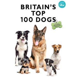 Großbritanniens Top-100-Hunde