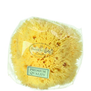 Hydrea London Honeycomb Sea Sponge, Size 4 - 4.5