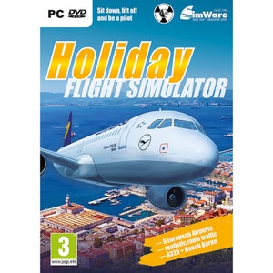 Holiday Flight Simulator