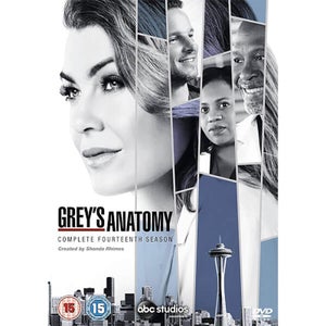 Grey's Anatomy Season 14