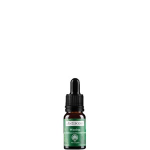 Mini Worship Skin Defence Antioxidant Serum 10ml