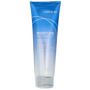 Joico Moisture Recovery Conditioner For Dry Hair 250ml