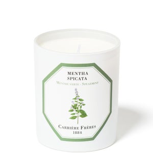 Carrière Frères Scented Candle Spearmint - Mentha Spicata - 185 g