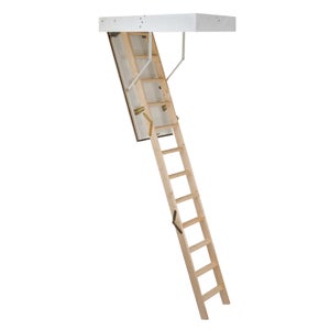 Telescopic ladder deals homebase