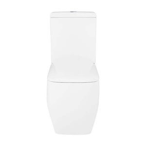 Cedar White Back To Wall Close Coupled Toilet