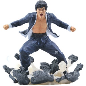 Figura de PVC de Diamond Select Bruce Lee Gallery - Tierra