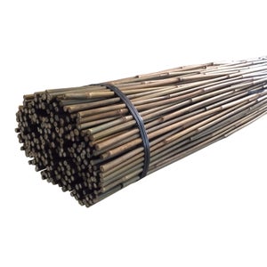 10 Pack Bamboo Canes - 1.8m/6ft