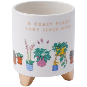 The Potting Shed 'A Crazy Plant Lady...' Planter