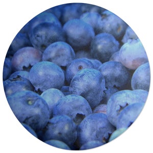 Decorsome Blueberries Round Cushion