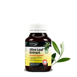 Immune Support Olive Leaf Extract Capsules - 60 caps