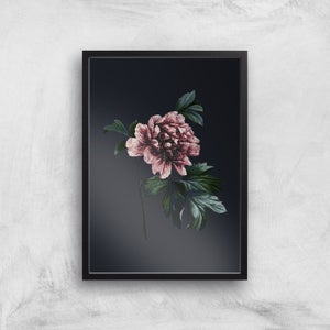 Blush Flower Giclee Art Print