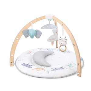 aden + anais™ Activity Gym