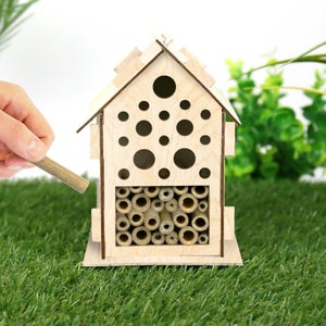 Handmade Habitats - Bug