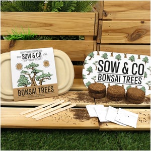 Sow and Co Grow Kit - Bonsai