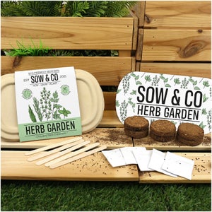 Sow and Co Grow Kit - Herb garden
