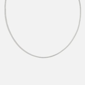 Astrid & Miyu Women's Snake Chain Necklace In Silver - Silver