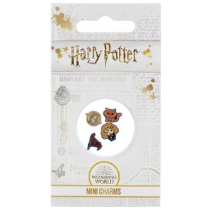 Harry Potter Hermione Mini Charm Set