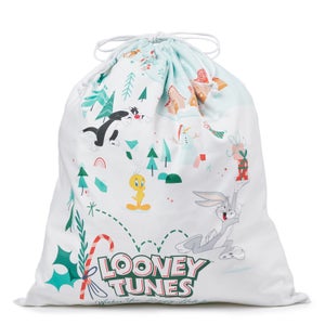 Looney Tunes Xmas Wishin' You Happy Holidays Christmas Santa Sack