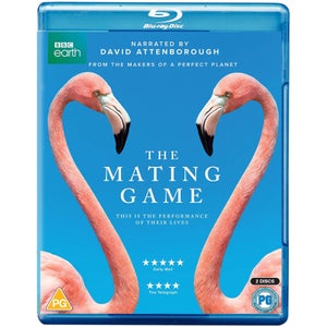 The Mating Game BD