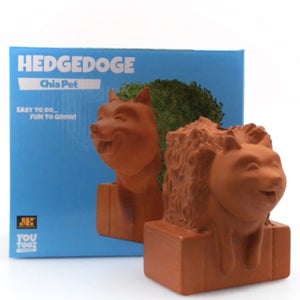 Youtooz Chia Pet 5" Vinyl Collectible Figure - Hedgedoge