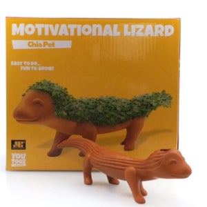 Youtooz Chia Pet 5" Vinyl Collectible Figure - Motivational Lizard